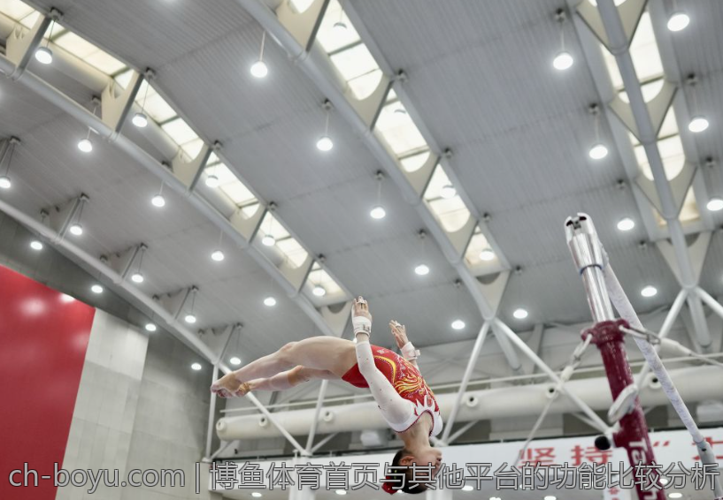 博鱼体育首页与其他平台的功能比较分析